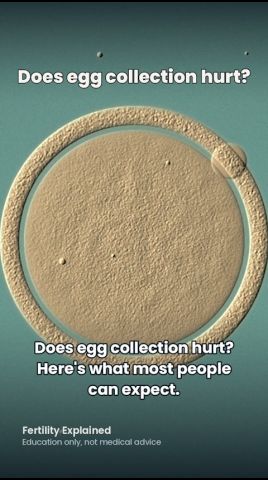Short thumbnail: Does egg collection hurt?
